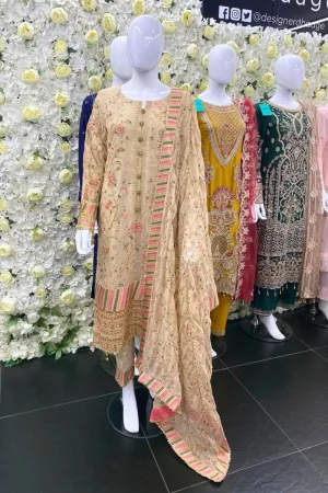 Sajni Embroidered Chiffon Wedding Wear SAJ01