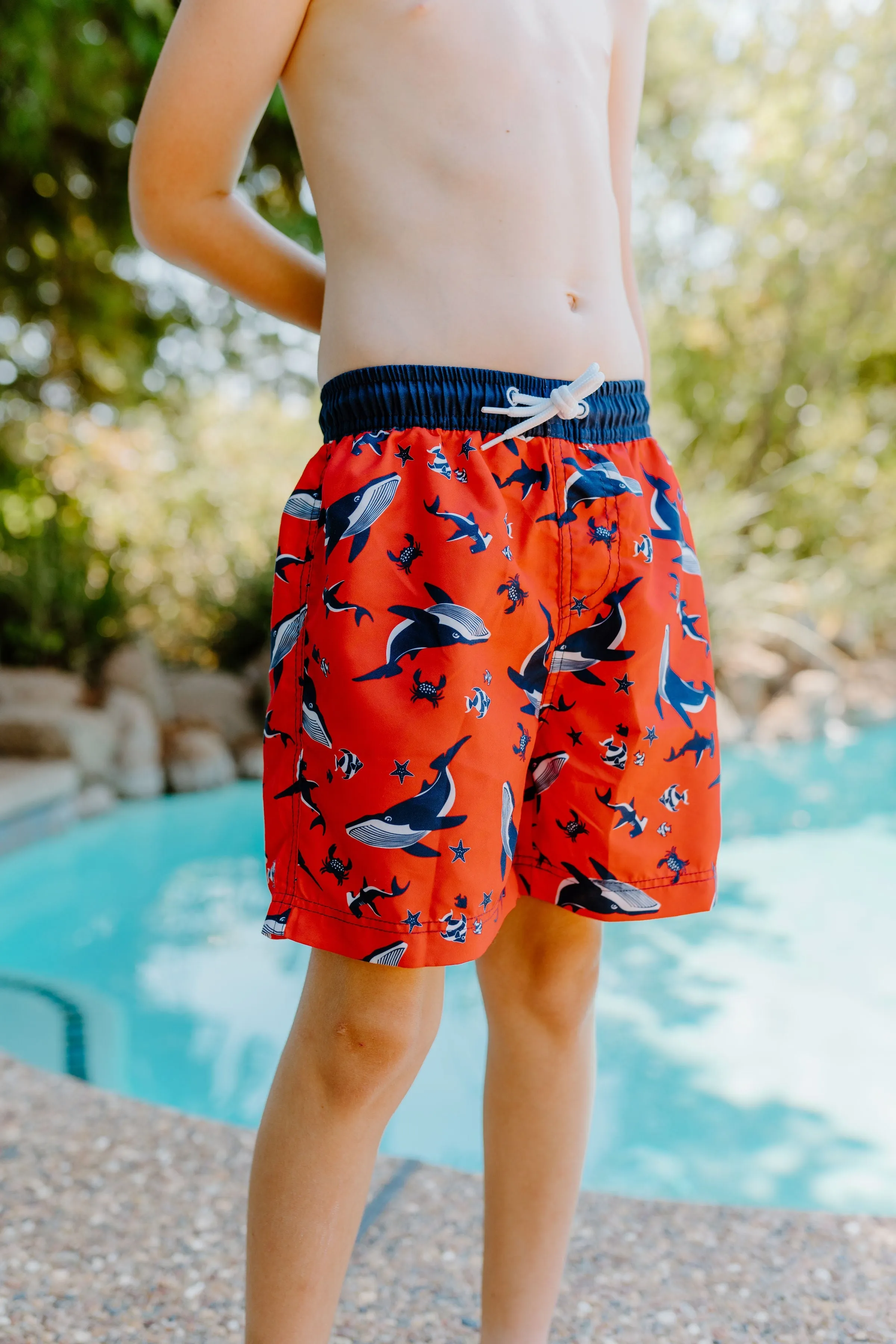 Toddler Board Shorts